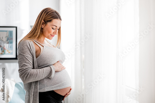 Beautiful pregnant woman touching her belly standing by the window at home