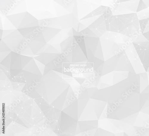 Abstract bright simple tech vector background. Connection structure. Polygonal vector abstract wallpaper. Abstract technology shapes. Vector science background