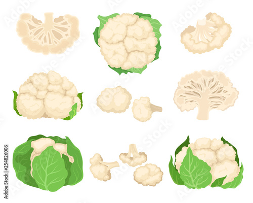 Cauliflower set. Organic food concept. Vector illustration.