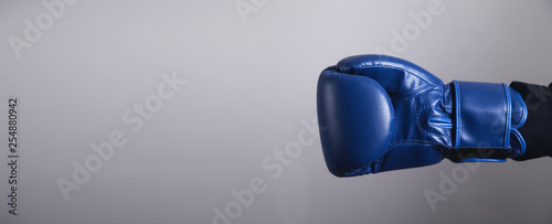 Hand in boxing gloves. Business, Power, Sport