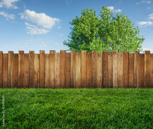 spring tree in backyard and wooden garden fence