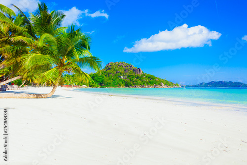 Vacation summer holidays background wallpaper - exotic sunny tropical caribbean paradise beach with white sand in seychelles at island thailand style with palms on good sunny weather and azure sea