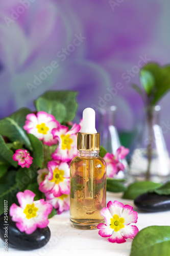 Organic cosmetics, natural oil, handmade with herbal and primrose flower extracts in glass bottles