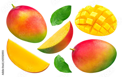 Mango collection isolated on white background
