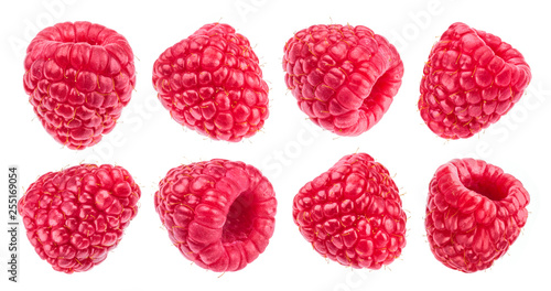 Raspberry isolated on white background. Collection