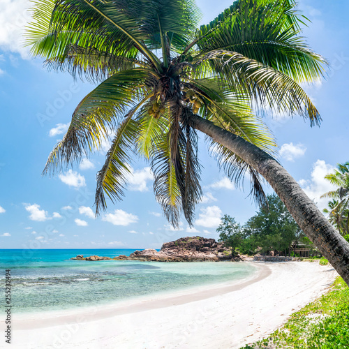 Tropische Insel mit Palmenstrand am Meer