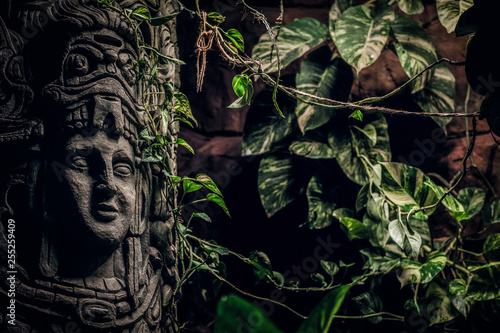Beautiful rocky monument with a carved image of a human face in the jungle. Close-up view