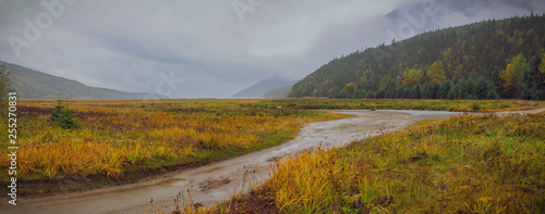 Autumn is coming for Alaska. Fall colors quickly taking over the summer ones. 