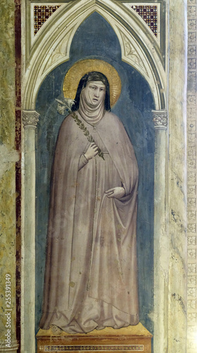 Saint Clare of Assisi holding a lily, fresco by Giotto di Bondone in Basilica di Santa Croce (Basilica of the Holy Cross) - famous Franciscan church in Florence, Italy