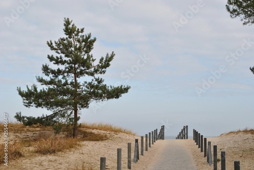 Wejście na plażę nad Bałtykiem