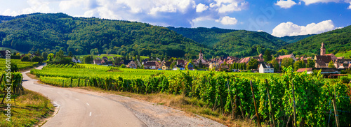 Alsace region of France - famous "Vine route" . beautiful vineyards and traditional vilages