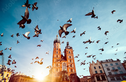 St. Mary's basilica in main square of Krakow with flying pigeons