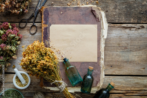 Old vintage book, tincture bottles, assortment of bunches of dry medicinal herbs, mortar. Herbal medicine. Top view.