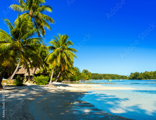 View of the sandy beach, Moorea island, French Polynesia. Copy space for text.
