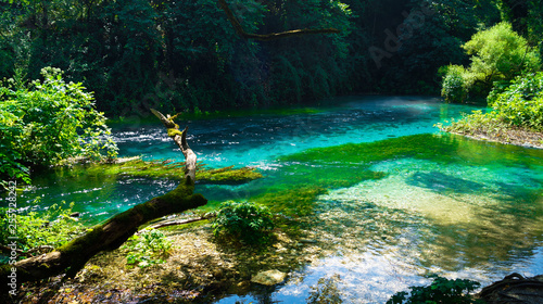 blue eye, syri i kater, Albania. Emerald green spring, close to Gjirokaster.