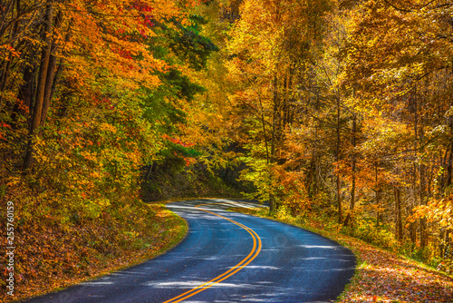 Blue Ridge Parkway near Asheville North Carolina