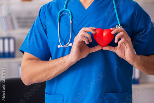 Male doctor cardiologist holding heart model 