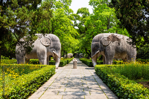 Elephant statues in the sacred way in Ming Xiaoling Mausoleum, located on mount Zijin, Nanjing, Jiangsu Province, China. Ming Xiaoling Mausoleum is UNESCO World Heritage Site