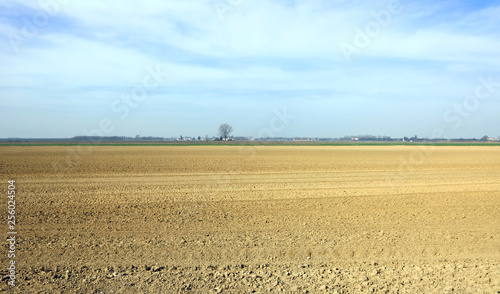 Dry ground of the plain during the great summer drought
