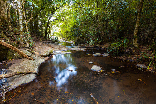 Calm waters of Morans Creek in Lamington National Park, QLD, Australia