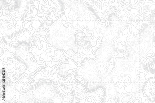 Abstract Blank Detailed Topographic Contour Map Subtle White Vector Background. Topographic Cartography. Topographic Map. Topographic Relief. Topography Map. Topography Relief 