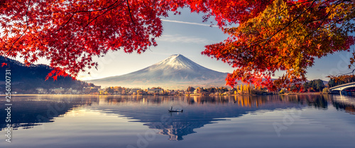 Kolorowa jesień i góry Fuji z poranną mgłą i czerwonymi liśćmi nad jeziorem Kawaguchiko to jedno z najlepszych miejsc w Japonii