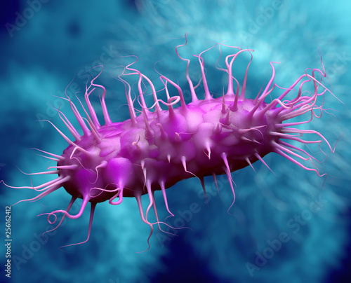 Salmonella bacteria , Germ infection , Epidemic bacterial disease - 3D Ilustración