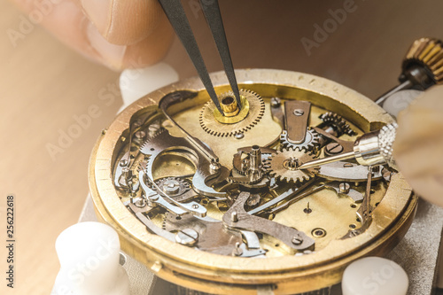 Professional watchmaker repairing watch