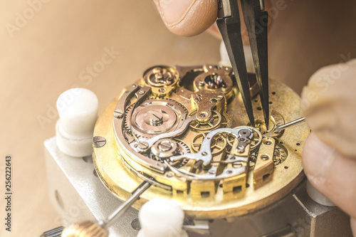 Professional watchmaker repairing watch