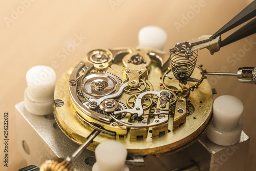 Professional watchmaker repairing watch