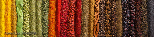 Panorama spices and herbs for food labels. Seasonings and flavors background