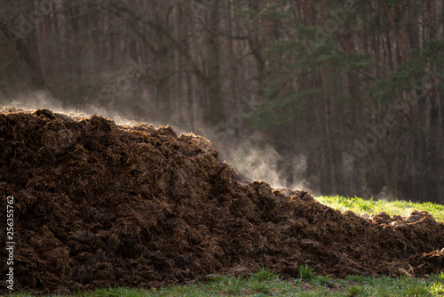 A pile of manure on an agricultural field for growing bio products