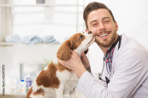 Handsome vet examining adorable puppy