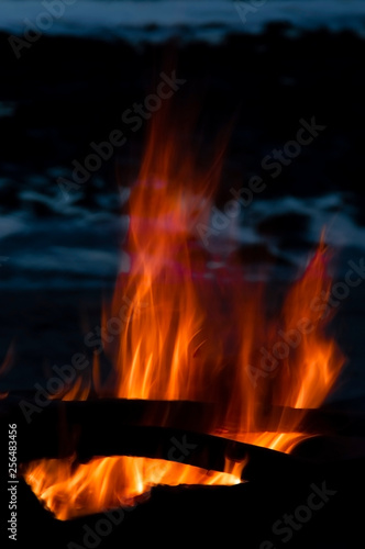 Flames burning wood in the night on blue