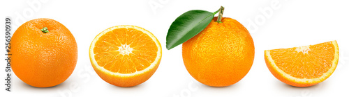 pomarańczowy na białym tle