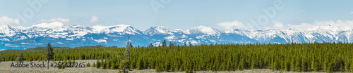 Panorama view of mountain covered with snow and green field of tree below