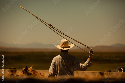 Cowboy Roping