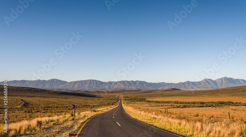 Little karoo in South Africa, road and moutain in the back