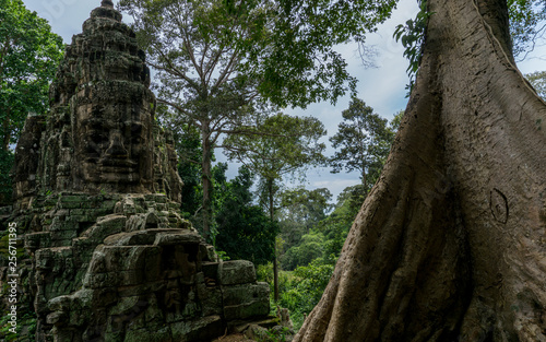 Angkor ruins hidden deep in the luxuriant and lush jungles of Cambodia