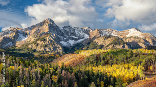 Early Morning Autumn Aspen along Ridgway Colorado County Road 9 