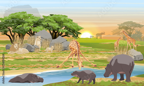 Lions, giraffes, hippos and elephants in the African savannah. Predators and herbivores at a watering place. Wildlife of Africa. Realistic Vector Landscape