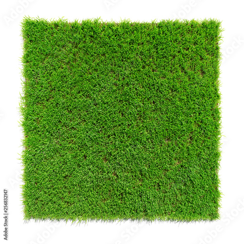 square shaped green grass lawn, 3d render