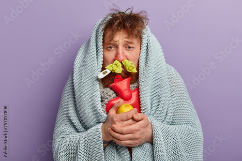 Medical treatment concept. Bearded ill foxy man wrapped in coverlet, holds hot water bottle, carries lemon, has thermometer in mouth, trembles from fever and freezing, stands over purple wall