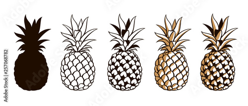 collection of pineapple tropical fruits isolated on white background