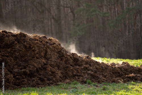 A pile of manure on an agricultural field for growing bio products