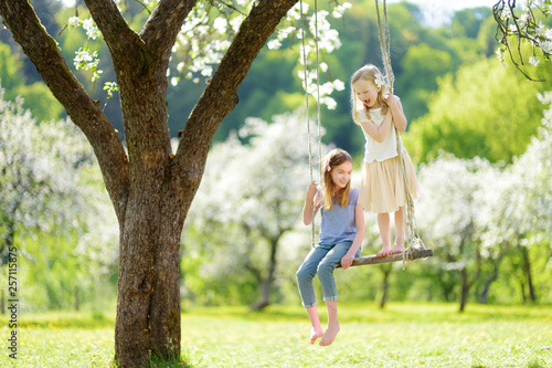 Two cute sisters having fun on a swing in blossoming old apple tree garden outdoors on sunny spring day.