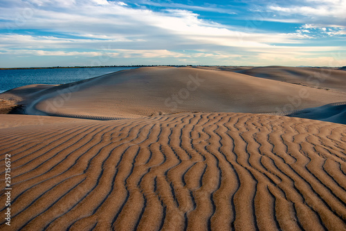 The late afternoon sun casts shadows across the sand dunes at Adolfo Lopez Mateos in Baja California, Mexico