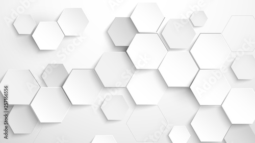 Abstract white hexagon background. Vector Illustration