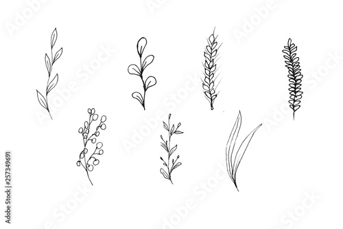 illustration of black and white pattern nature plants flowers insects
