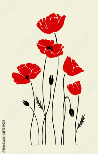 Vector isolated poppies silhouettes. Graphic for wall decoration.